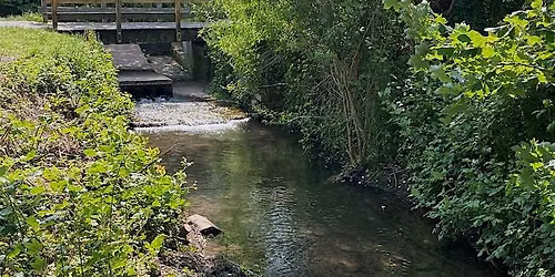 River Naturalness Survey demo