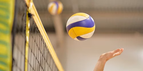 Cincinnati Bearcats at Houston Cougars Womens Volleyball