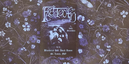 Faetooth at Blueberry Hill Duck Room