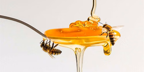 Honey at Dusk: a Museum late