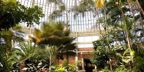 Sensory Hour at the Botanical Gardens