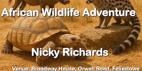 Nicky Richards "African Wildlife Adventure".