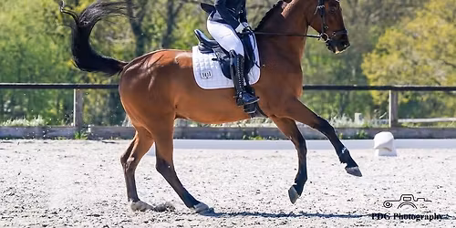 Golden Cross BD and Unaffiliated Dressage, Sunday 10 May.