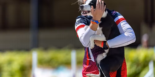 Stefanie Theis Agility Seminar - February 2026