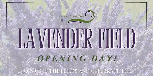 Glen Innish Farm - Lavender Field Opening Day!
