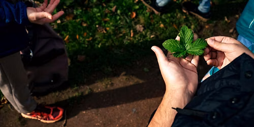 Atelier pratique  plantes p\u00e9rennes au jardin \/ Workshop meerjarige planten