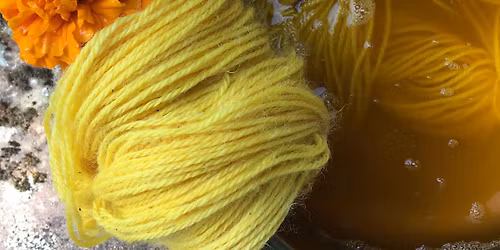 Introduction to Botanical Dyeing- Extraction Method