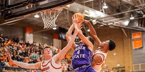Weber State Wildcats Women's Basketball vs. Northern New Mexico Eagles