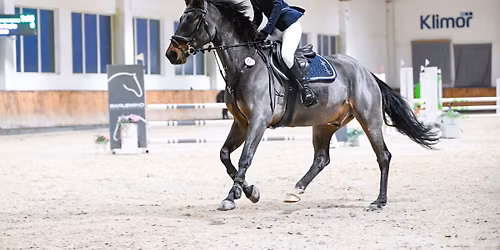 Halowe Zawody Towarzyskie w Skokach przez Przeszkody