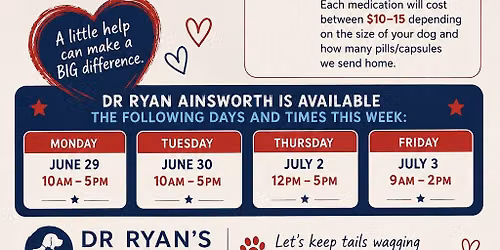 Is your dog ready for 4th of July?
