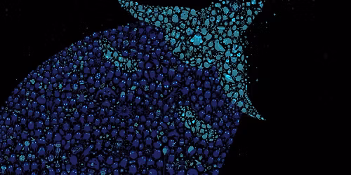 Mr. Bill, Frequent, Skope in Denver