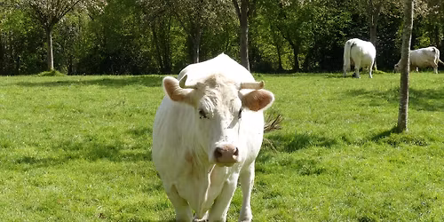 Les Balcons du Pont de Normandie