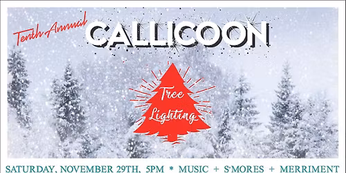 Tenth Annual Callicoon Holiday Tree Lighting