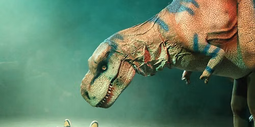 Teach Rex Live
