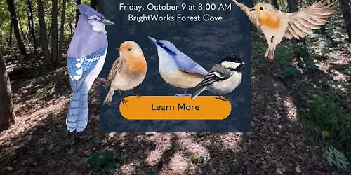 Birds & Brews