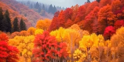 Central MN Farm Toy Show