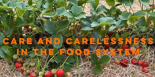 Strawberry Is Fed Up: A Parliament of Things at Bybi