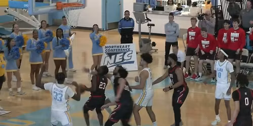 LIU Sharks at UMass Lowell River Hawks Womens Basketball