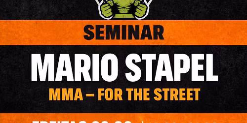 Mario Stapel - MMA for the street