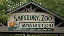 Family Adventure: Salisbury Zoo Animal Discovery