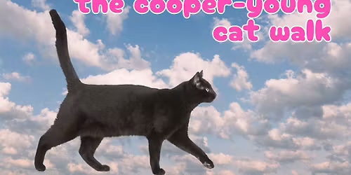 Cooper-Young Cat Walking Tour
