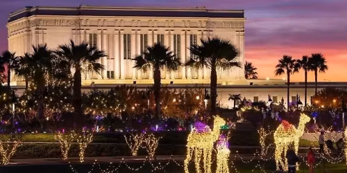 Parking The Book of Mormon - Tempe