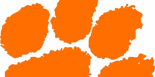 Class of 2007 Bowling 