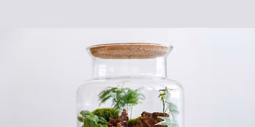 Terrarium Workshop