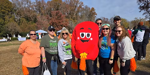 Charlotte Kidney Walk 2026