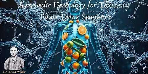 Ayurvedic Herbology for Toxicosis (visha-cikitsa): Power Detox