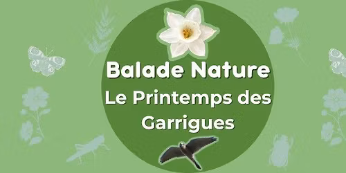 \ud83c\udf3f\ud83c\udf3c Balade Nature \u2013 Le Printemps des Garrigues \ud83c\udf3c\ud83c\udf3f