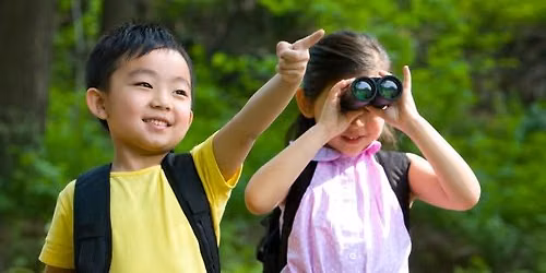 Birding for Kids