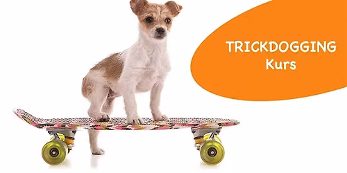 Trickdogging-Kurs