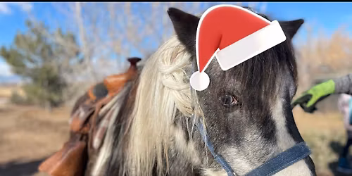 Farmfest Tuesday December 23, 11-3PM