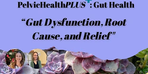 Pelvic Health PLUS Gut Health with Naturopathic Doctor Alexis Farley