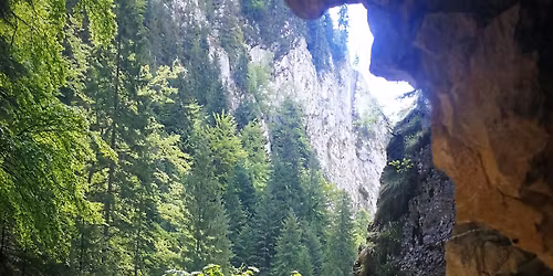 Prima ta aventur\u0103 \u00een Piatra Craiului: circuit u\u0219or p\u00e2n\u0103 la Cabana Curm\u0103tura