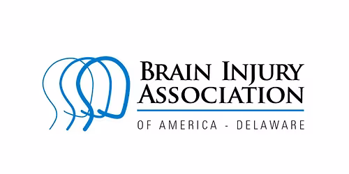Certified Brain Injury Specialist Prep Course