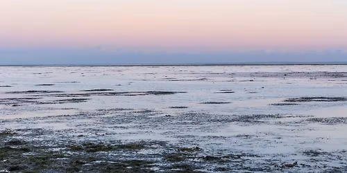 S\u00e6ler og Vadehav