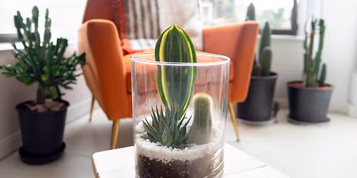 Desert Terrarium Workshop