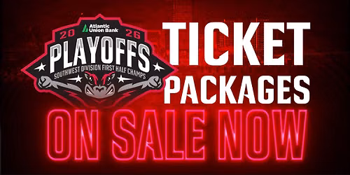 Hartford Yard Goats vs. Richmond Flying Squirrels