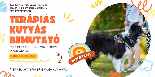 Interakt\u00edv ter\u00e1pi\u00e1s kuty\u00e1s bemutat\u00f3 K\u0151r\u00f6shegyen m\u00e1jus elsej\u00e9n