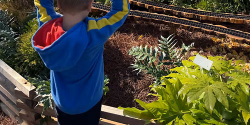 Sensory Friendly Morning at the Garden: \u201cSeason\u2019s Greenings\u201d Holiday Show