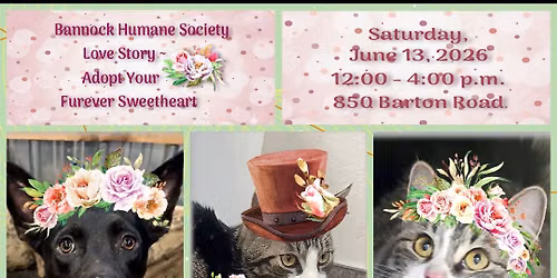 Love Story Adoption Event 