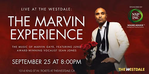 The Marvin Experience
