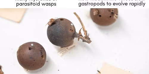 Biology on Tap December