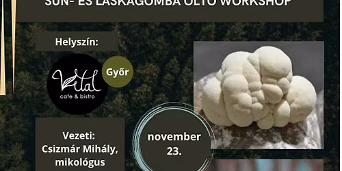 S\u00fcn- \u00e9s laskagomba olt\u00f3 workshop Gy\u0151rben