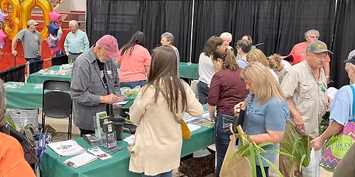 The Society for Louisiana Irises (SLI) booth at Festival des Fleurs de Louisiane in Lafayette