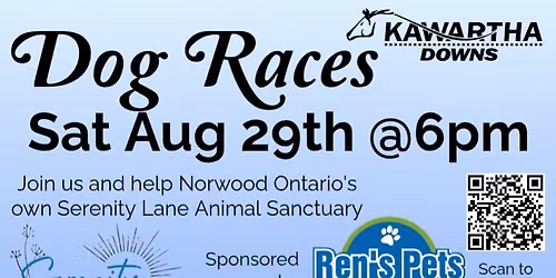 Live Harness Racing & Dog Races