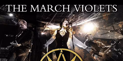 The March Violets+Venus Fly Trap