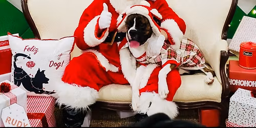 Ice Cream with Santa